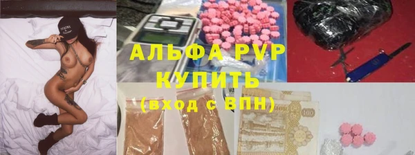 индика Абаза