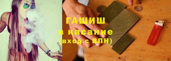 индика Абаза