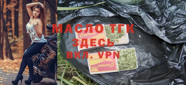 индика Абаза