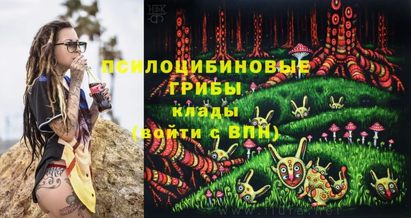 индика Абаза