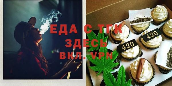 индика Абаза