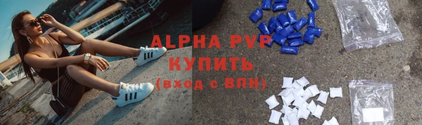 индика Абаза