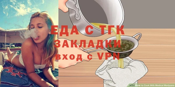 индика Абаза
