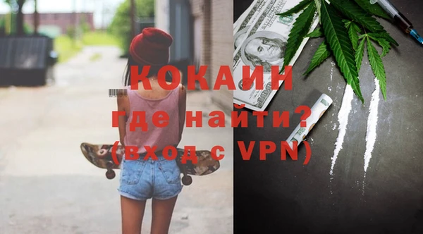 индика Абаза