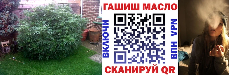 ТГК гашишное масло  блэк спрут ССЫЛКА  Камышлов  хочу  