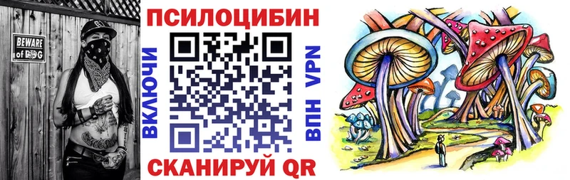 Галлюциногенные грибы Psilocybine cubensis  ссылка на мегу как войти  Камышлов 