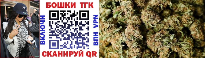 дарнет шоп  Камышлов  Каннабис индика 